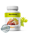 MycoMedica MycoSomat zmes 90cps 