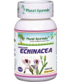 Echinacea indická extrakt ajurvédske kapsuly 60cps