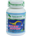 Stress Support kapsuly 60cps PLANET AYURVEDA