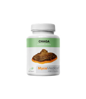 Chaga (čaga) vitálna huba MycoMedica