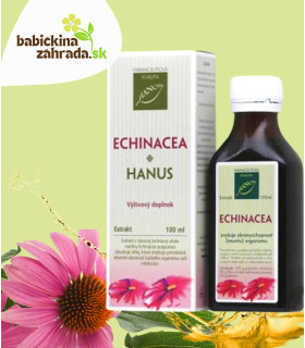 Hanus Echinacea extrakt tinktúra 100ml