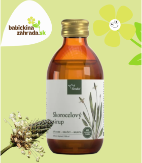 Skorocelový sirup 200ml. Serafin