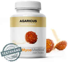 Agaricus extrakt liečivá huba (šampión mandľový)