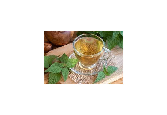 Kompletný sprievodca zeleným čajom: Výhody Matcha a Žihľavy pre Zdravie a Vitalitu